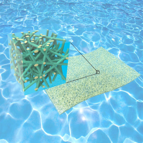Sinir lifi bazlı güvenli su filtreleme sisteminin tasarımı ve üretimi